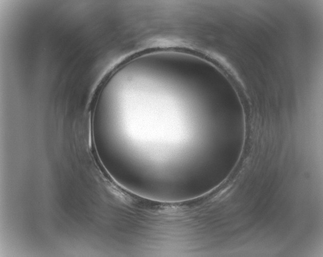 X0000066991175200603271306