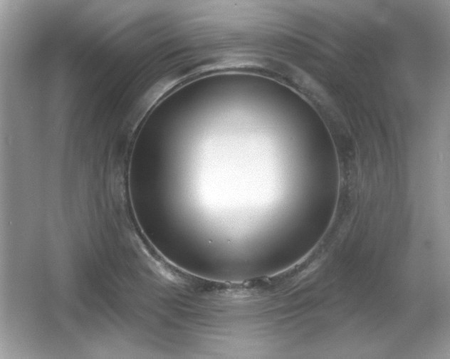 X0000066991177200603271306