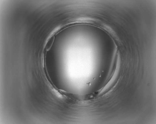 X0000066991180200603271306