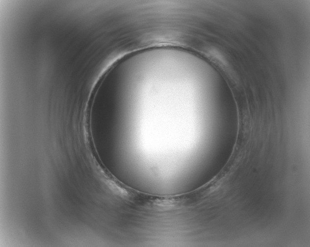 X0000066991182200603271306