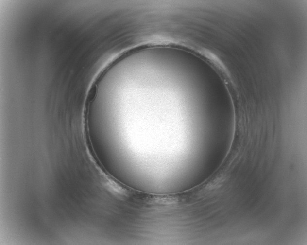 X0000066991183200603271306