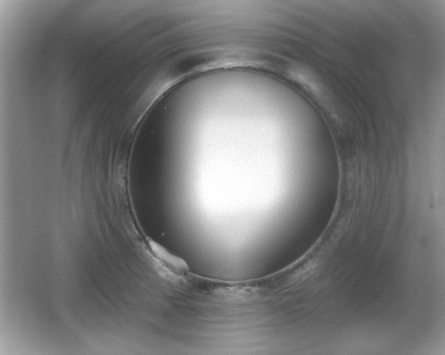 X0000066991185200603271306