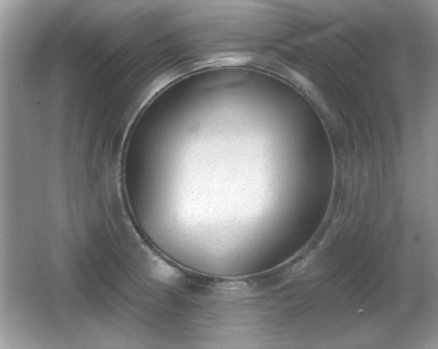 X0000066991186200603271306