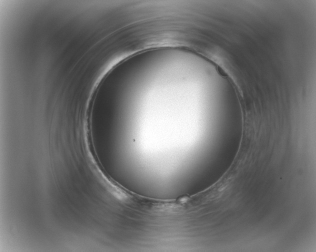 X0000066991187200603271306