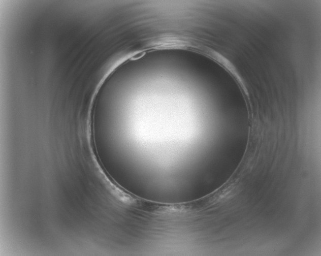 X0000066991195200603271306
