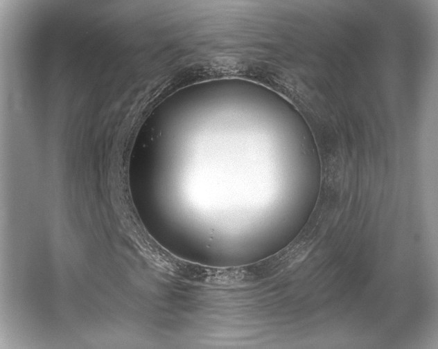 X0000066991201200603271305