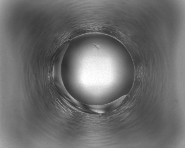 X0000066991202200603271305