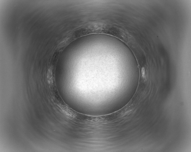 X0000066991203200603271305