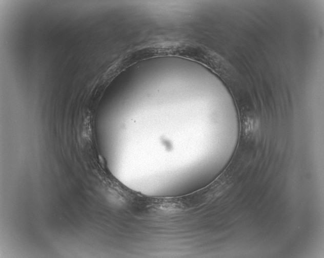 X0000066991204200603271305