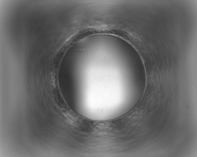 X0000066991205200603271305