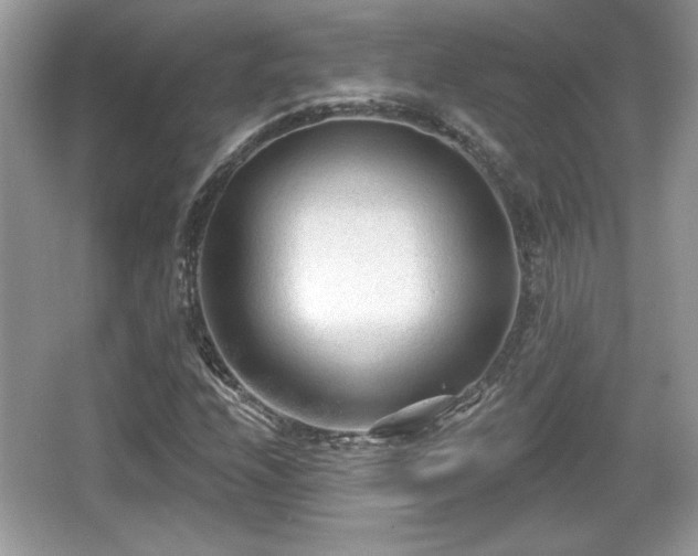X0000066991208200603271305