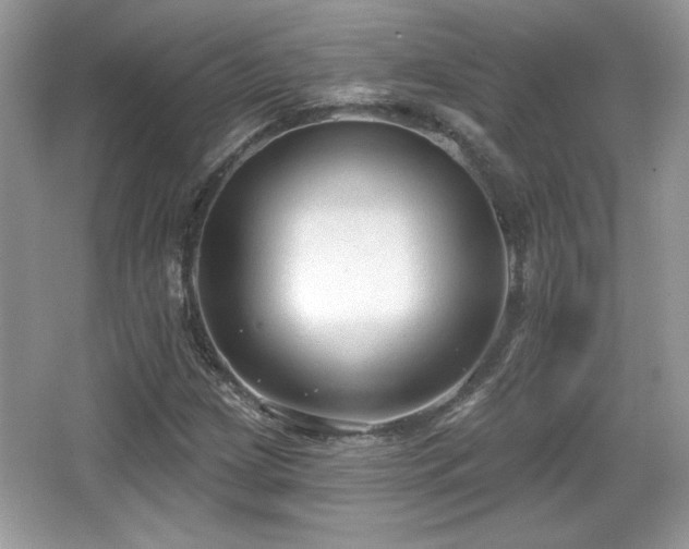 X0000066991209200603271305