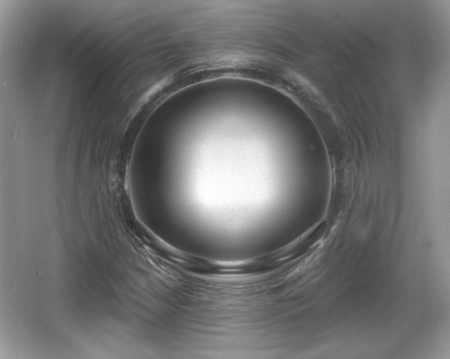 X0000066991210200603271305