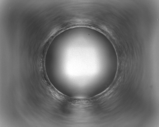 X0000066991211200603271305