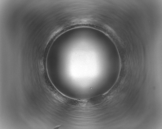 X0000066991218200603271305