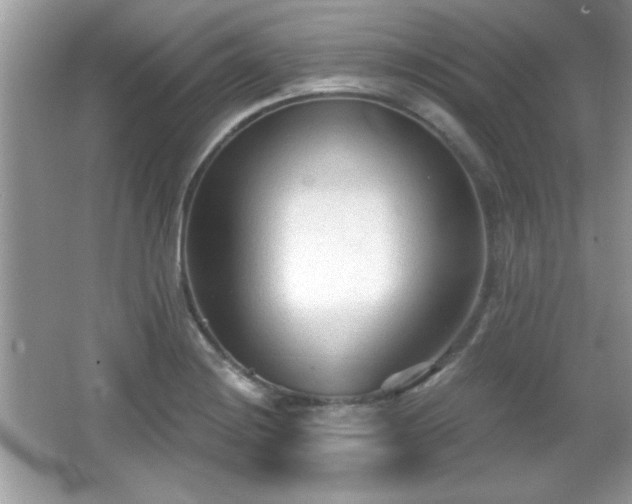 X0000066991228200603271306