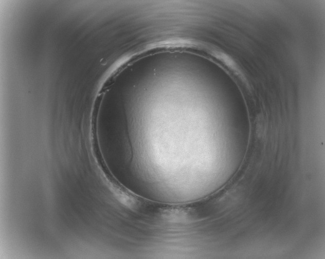 X0000066991229200603271306