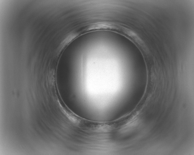 X0000066991233200603271306