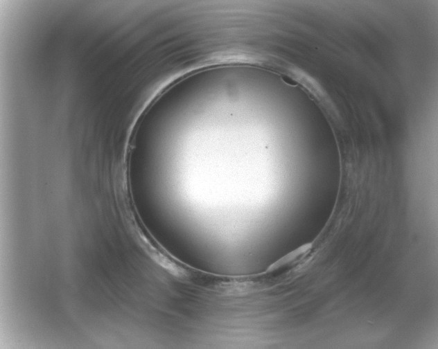 X0000066991236200603271306