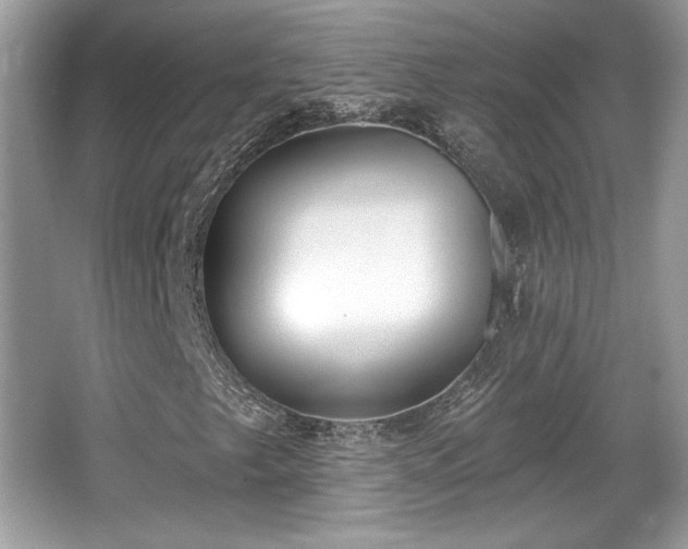 X0000066991249200603271305