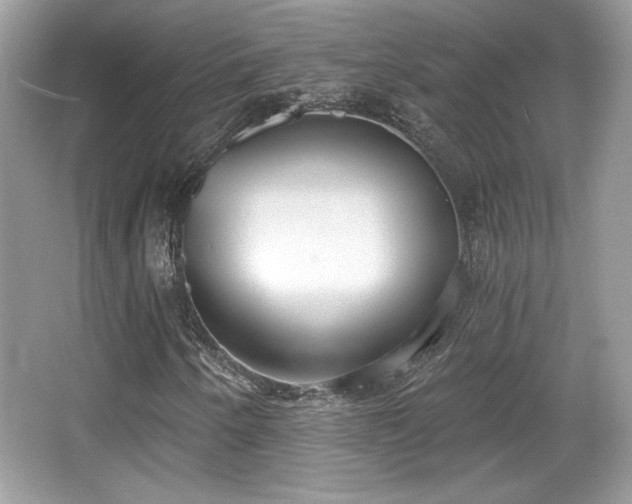 X0000066991250200603271305