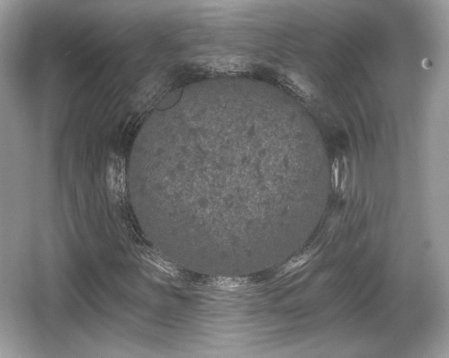 X0000066991251200603271305