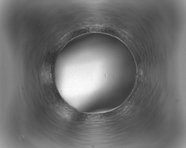 X0000066991252200603271305