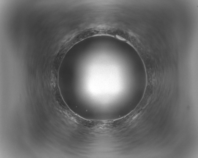 X0000066991253200603271305