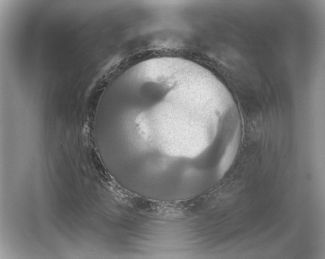 X0000066991254200603271305