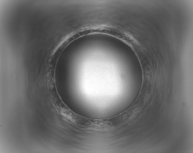 X0000066991256200603271305
