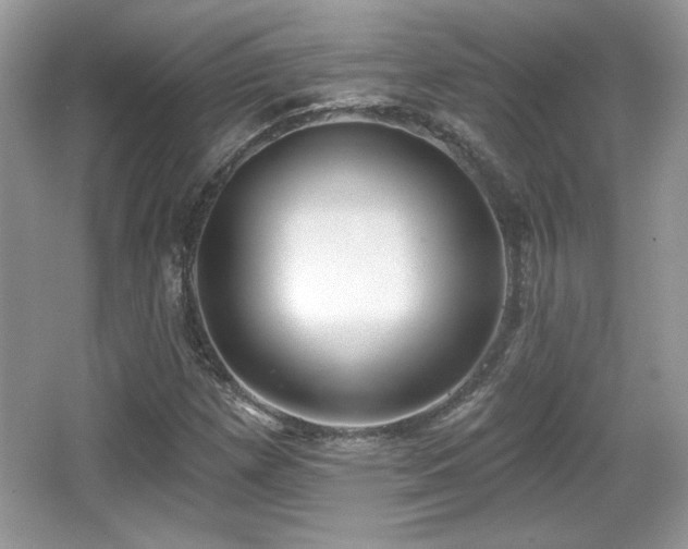 X0000066991257200603271305