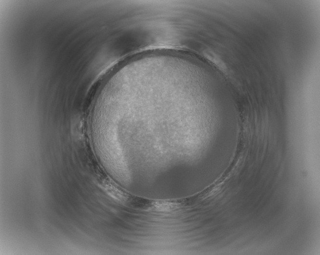 X0000066991258200603271305