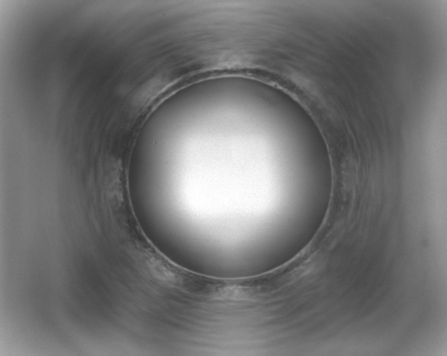 X0000066991265200603271305