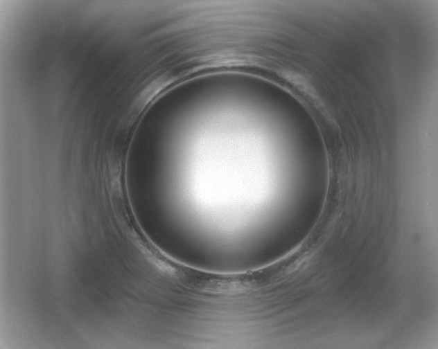 X0000066991273200603271305