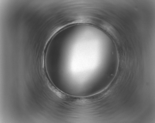 X0000066991276200603271305