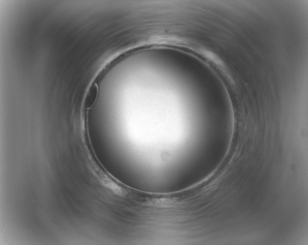 X0000066991280200603271305