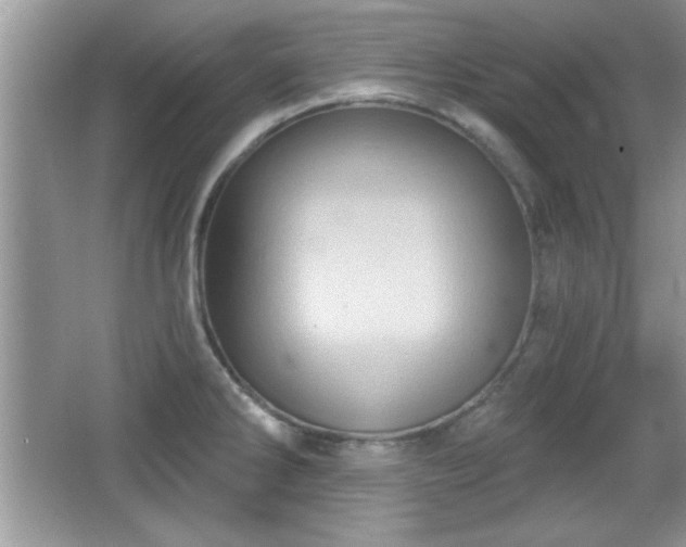X0000066991286200603271305