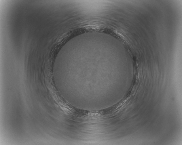 X0000066991297200603271304