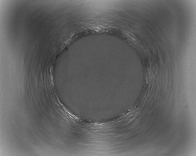 X0000066991298200603271304