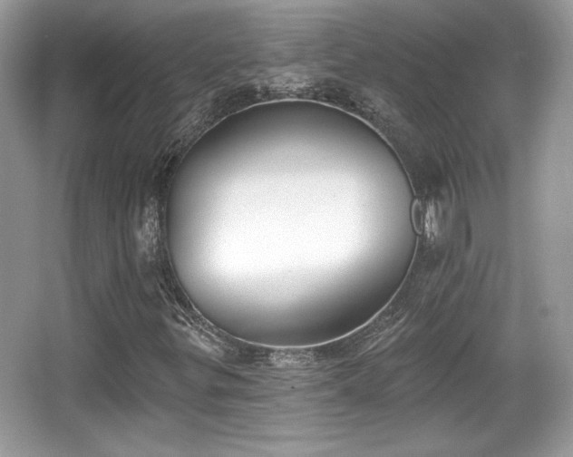 X0000066991299200603271304