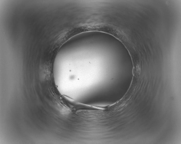 X0000066991300200603271304