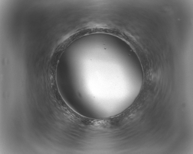 X0000066991303200603271304