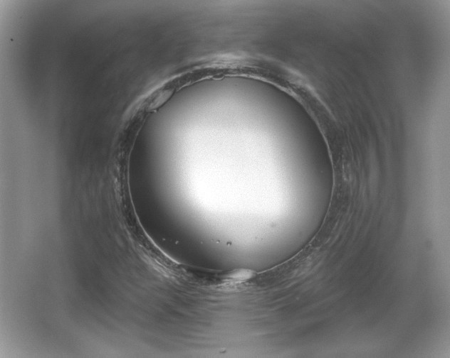 X0000066991304200603271304