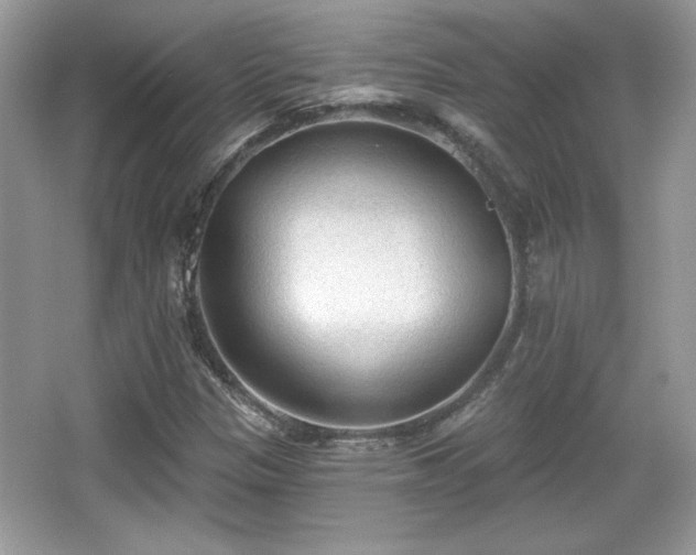 X0000066991305200603271304