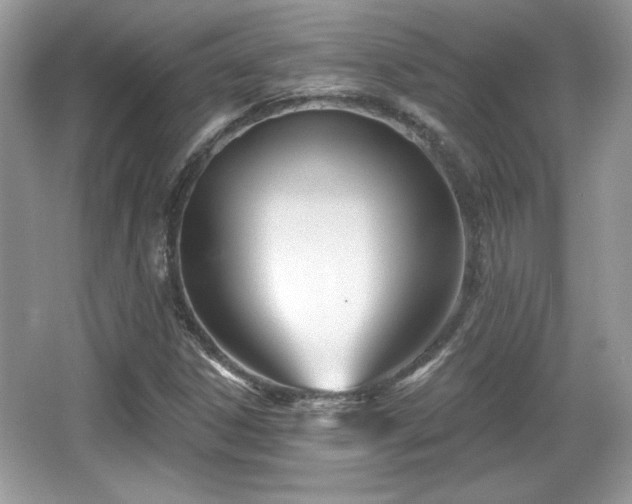 X0000066991306200603271304