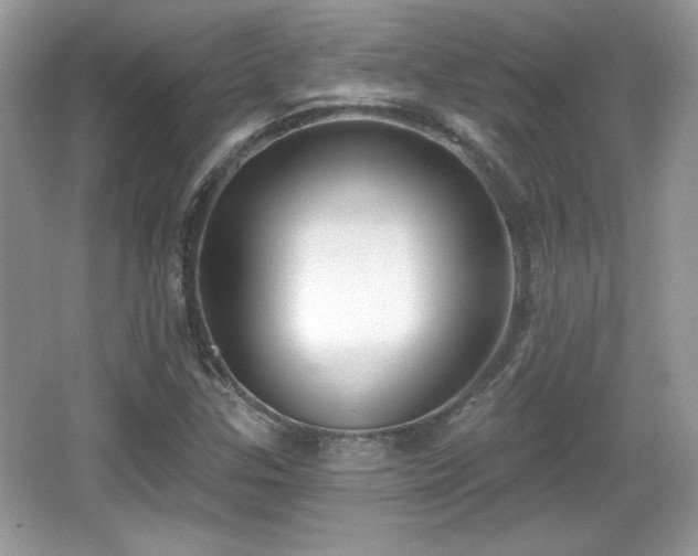 X0000066991307200603271304