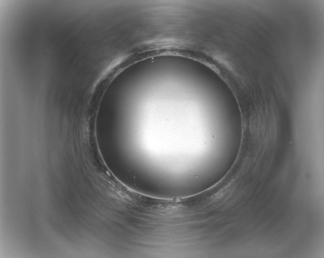 X0000066991309200603271304