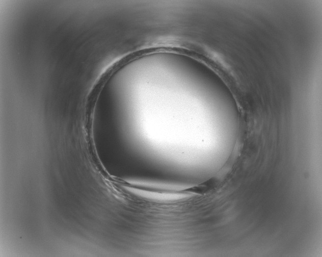 X0000066991312200603271304