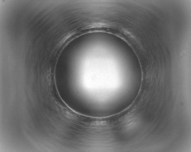 X0000066991313200603271304