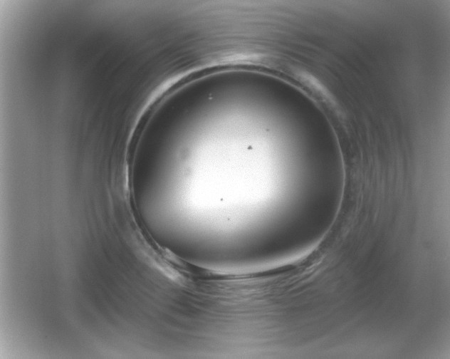 X0000066991324200603271304